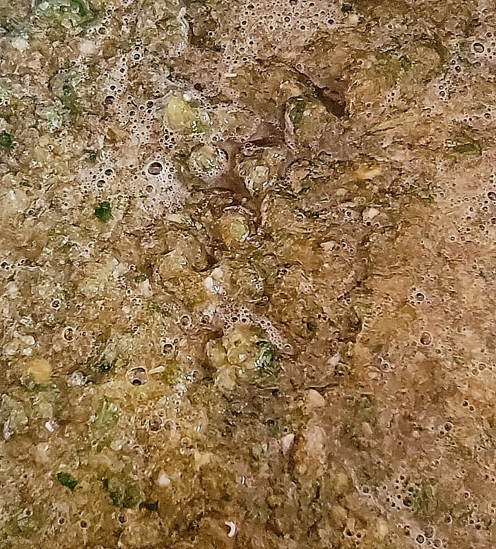 close up of finished marinade