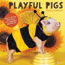cute pig shown wearing a bee outfit on cover of calendar