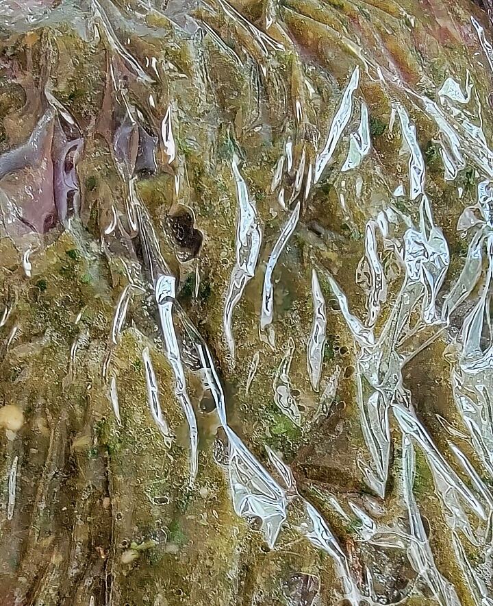 flank steak coated with marinade, covered with plastic film