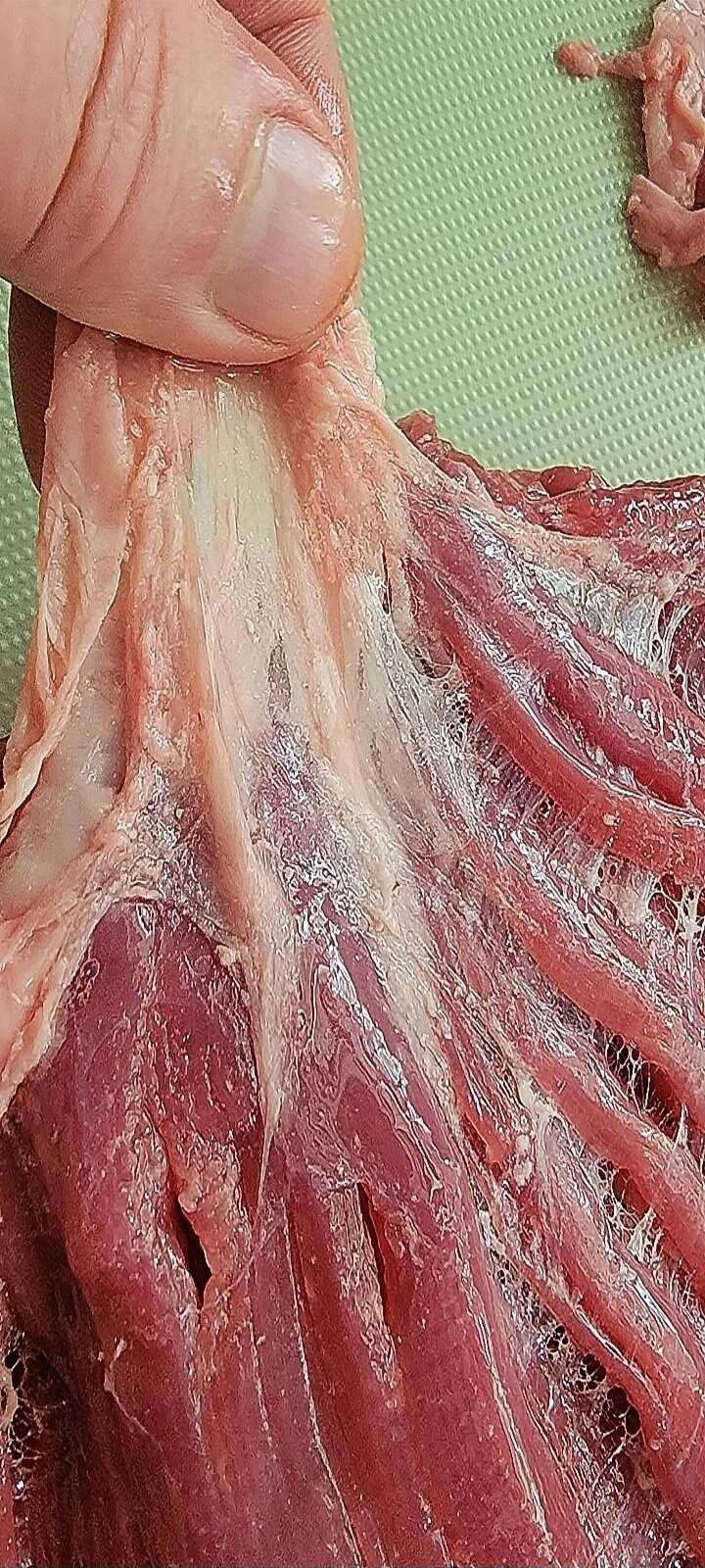 loose fat and sinew being pulled by hand from flank steak
