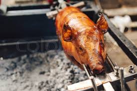 roasting whole pig on spit, face showing