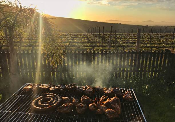 Late afternoon BBQ prior to sunset with a vineyard view in Western Cape, South Africa